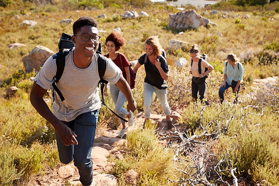 Nature Immersion Walk